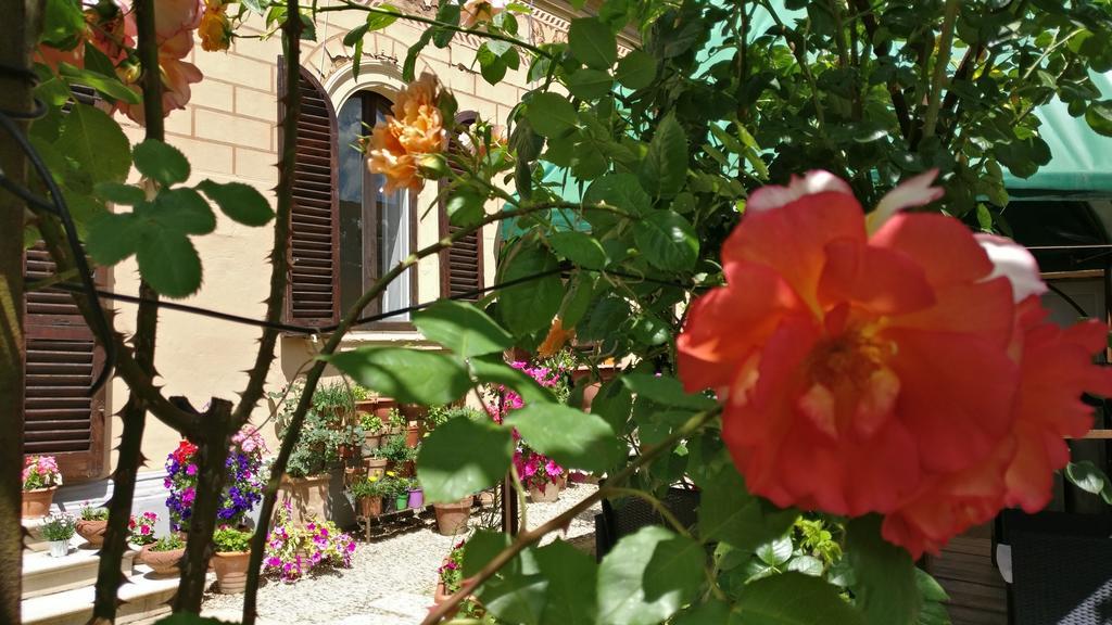 La Chicca B&B סיינה מראה חיצוני תמונה